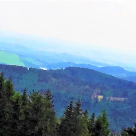 Haus Am Waeldchen Appartement Clausthal-Zellerfeld